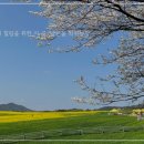 관식농장 이미지