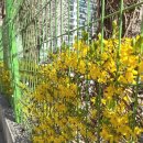 선유서로13길 이미지