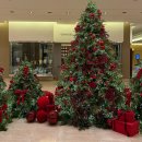 광안2-303 | 1박 2일 부산, 웨스틴 조선 부산, 해운대 횟집 연해, 303화덕 본점, 모모스커피 온천장