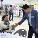 우리동네펫 이미지