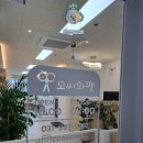 꼬씨와 펫살롱 이미지