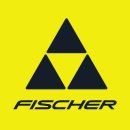 [17/18] FISCHER RC4 THE CURV CURV BOOSTER / 164 cm 이미지