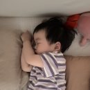 19개월 아기 모세기관지염 극복 후기 (증상. 완화. 회복기간)