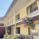 아치스, 캐년랜즈 국립공원 근처 가성비 숙소 추천 | 모압 러스틱 인 moab rustic inn 후기