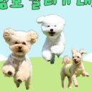 올바른 참견 이미지