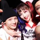 니콜 이미지
