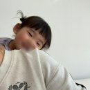 [일상] 군것질과 쇼핑은 즐거워~ 슬기로운 회사 생활 오전 반차 이슈!
