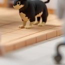안심동물병원 네이버블로그