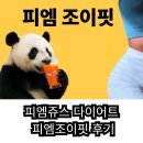 다이어트핏 | 피엠쥬스 다이어트 피엠조이핏 후기