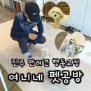 여니네 펫공방 이미지