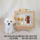 평택-W-053 | 5월 가정의 달 초특급 행사 이벤트 중 아기손발조형물 99,000원 ~ 가온베이비 대구, 경산지사와 함께 해요~