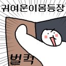 태닝아일랜드 이미지