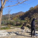 캠핑 유유자적 | 가창 캠핑 유유자적 - 아이와 1박2일 후기