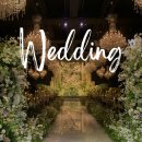 41190-01-07-149 | W6. 광주 웨딩홀 투어 : 더 시그너스 웨딩홀｜버진로드·홀분위기·주차, 27년 상반기(견적공유O/계약X)