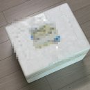 허니데이 | 토스쇼핑 화이트데이 특가 말렌카 클래식 허니너겟 코코아맛 후기