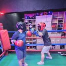 강성복싱체육관 이미지