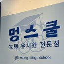 멍스쿨 이미지