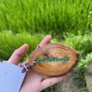에코팜 | 사파 에코팜하우스 후기~~~(방갈로, 조식, 석식, 벌레)