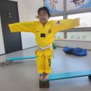 경희대 대성 태권도장 이미지