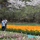 태안슈퍼 이미지