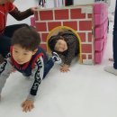 한국체대태권도스쿨 네이버블로그