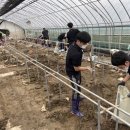 김동환농장 이미지