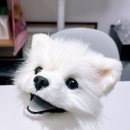 탄리로95번길 | 🐶 해드림공방 작업기 : 포메라니안 주문 제작 🐶