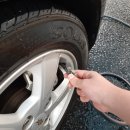 타이어보이 이미지