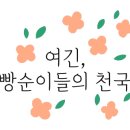 카카오 이미지