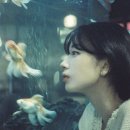 아쿠아모스
