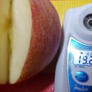 영천 스타농원 이미지