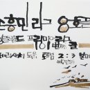 경포8호 이미지
