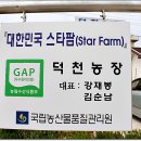 엑스포로 민박 이미지