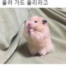 인성 이미지