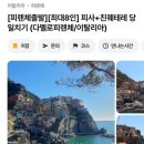 다멜로