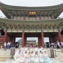 그림책 토론으로 배우는 생각의 기술 이미지