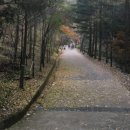 영규농장 이미지