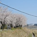 경포생태지 이미지