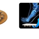 슈올즈 남문점 이미지