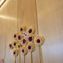 카페 시도 이미지