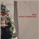 케이크롱 이미지