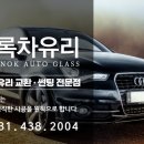 상록차유리
