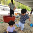 아이랑갈만한곳, 남양주 스테이수목원