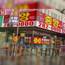 동백호수공인중개사사무소 이미지