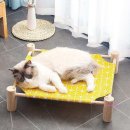 미미애견 이미지