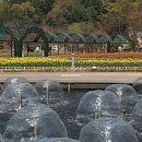 오-월드 이미지