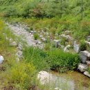 진해기술지원과(진해농업기술센터) 이미지