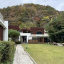 몬티첼로1 | 강원도 평창 애견동반 자쿠지 숙소 몬티첼로