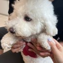 양지동물병원 이미지