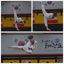베스트태권도 이미지